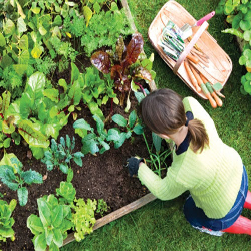 lavori-nellorto-in-inverno-500x500